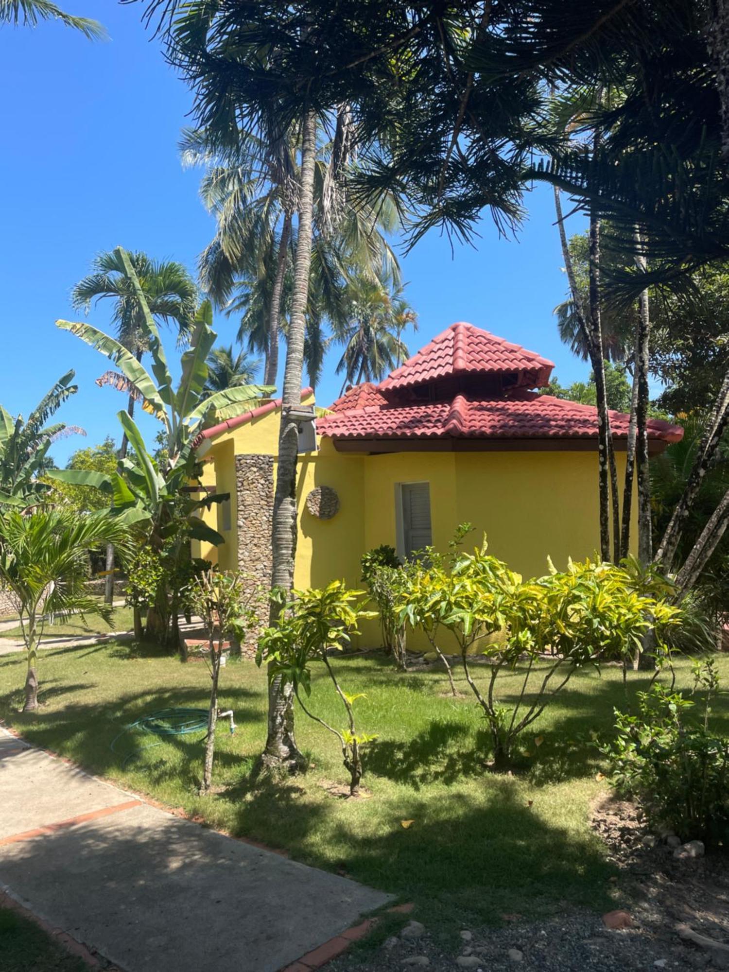 Palms Lounge Cabarete Aparthotel Exterior photo